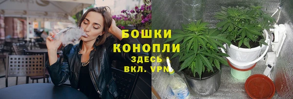 MESCALINE Михайлов