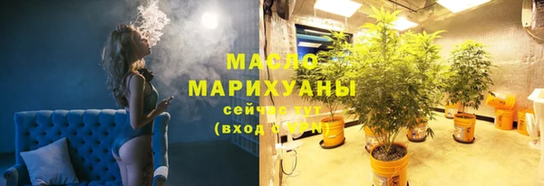 гашик Михайловск